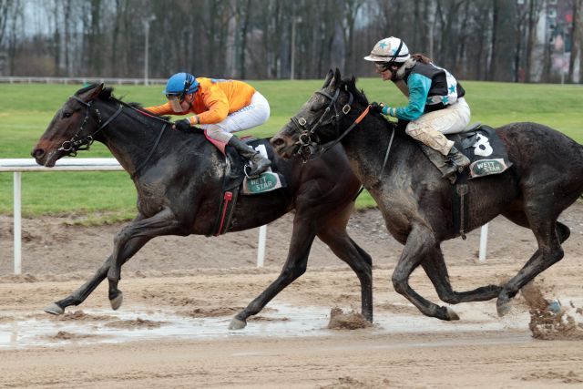 Der von Erika Mäder trainierte Merlin gewinnt unter Martin Seidl. www.galoppfoto.de - Stephanie Gruttmann