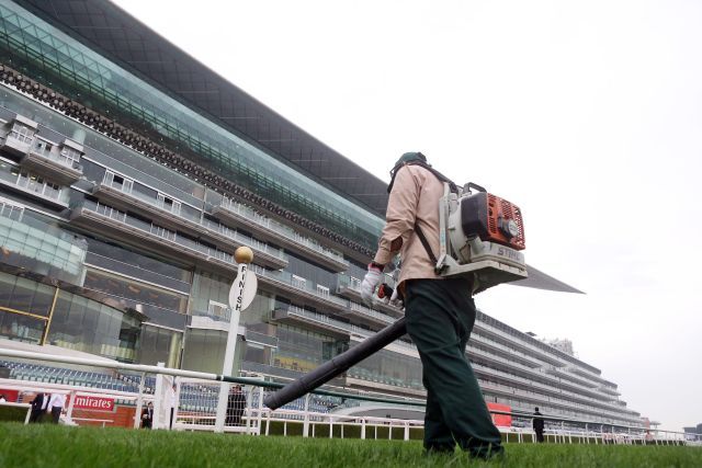 In Meydan wird für die Saison alles hergerichtet. www.galoppfoto.de