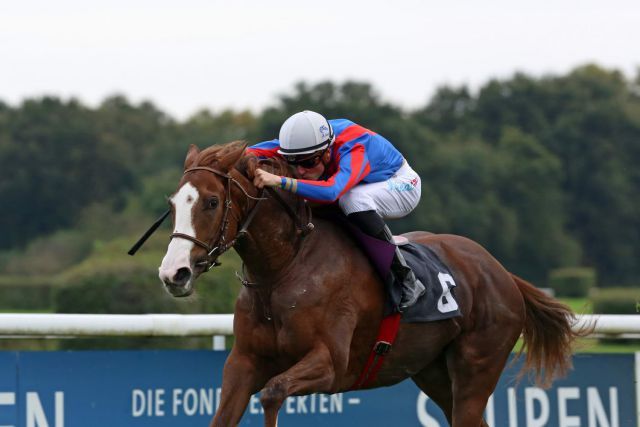 Dritter Anlauf, erster Sieg: Naaqueen siegt mit Martin Seidl. Foto: Dr. Jens Fuchs 