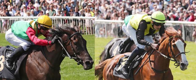 Nastaria und Waldalder greifen im irischen St. Leger nach den Sternen. www.galoppfoto.de - Frank Sorge