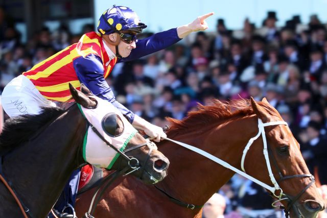 Nature Strip bei seinem Sieg in den King's Stand Stakes. www.galoppfoto.de