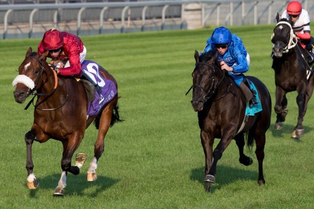 New Century holt sich am Samstag in Woodbine den einzigen europäischen Sieg. Foto: Woodbine/Michael Burns