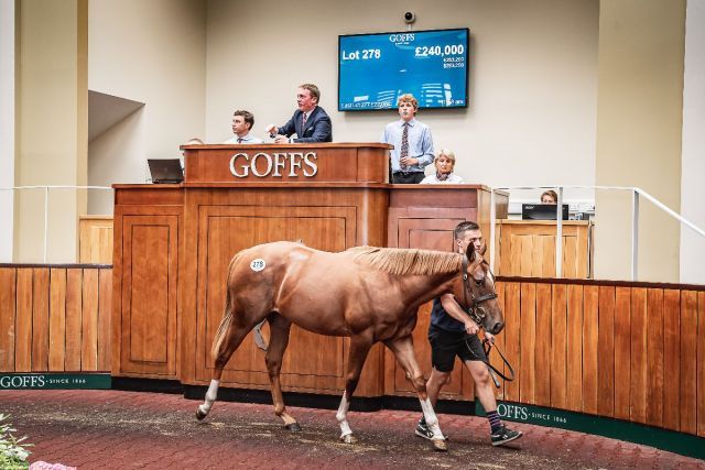 Diese Night of Thunder-Stute ging am Jürgen Sartori. Foto: Goffs