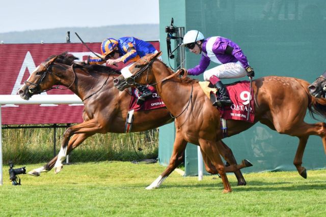 Opera Singer kämpft sich in den Nassau Stakes zum Sieg und soll jetzt Richtung "Arc" gehen. Foto: Goodwood Racecourse