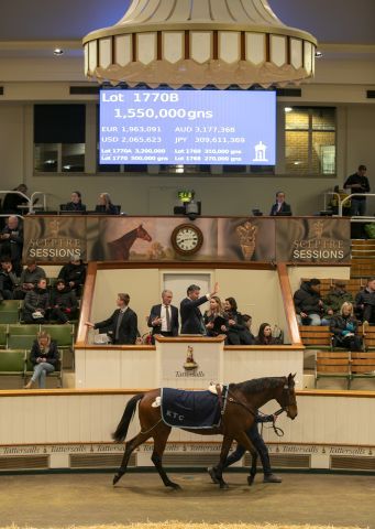 The Palace Girl - die Millionärin von der BBAG. Foto: Tattersalls