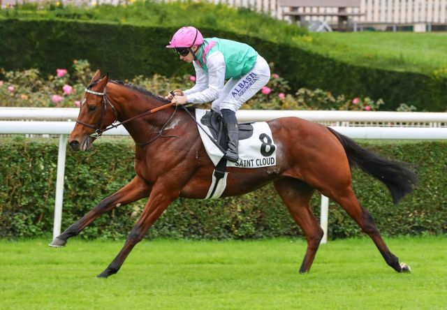 Percival gewinnt in Saint-Cloud. Foto: courtesy by Coolmore