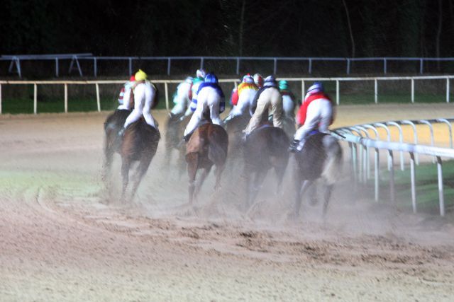 Pferde und Jockeys auf der Sandbahn ... www.galoppfoto.de - Frank Sorge