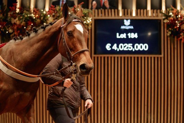 Die Vier-Millionen-Stute Place du Carrousel. Foto: Arqana/Zuzanna Lupa