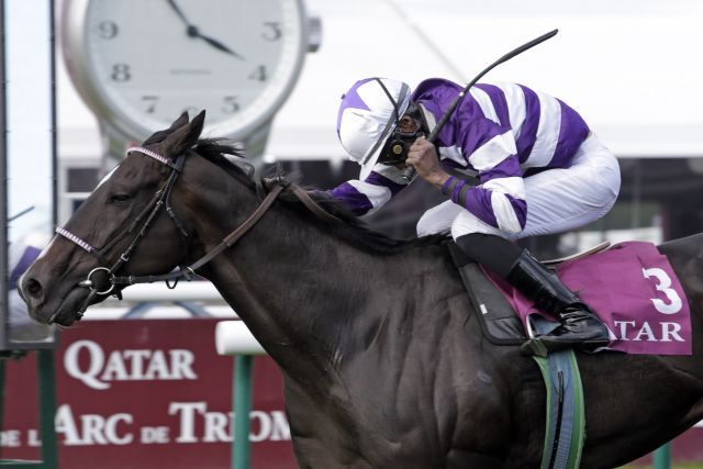 War auch schon auf ganz großem internationalen Parkett erfolgreich: Potemkin mit  Eduardo Pedroza bei Sieg im Qatar Prix Dollar. ©galoppfoto - Frank Sorge