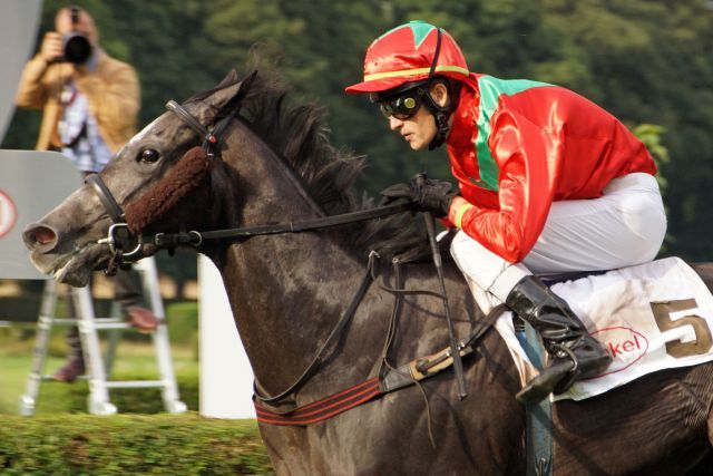 Die Kandahar Run-Tochter Precious Promise gewinnt mit Pascal Werning in Düsseldorf. Foto: Karina Strübbe