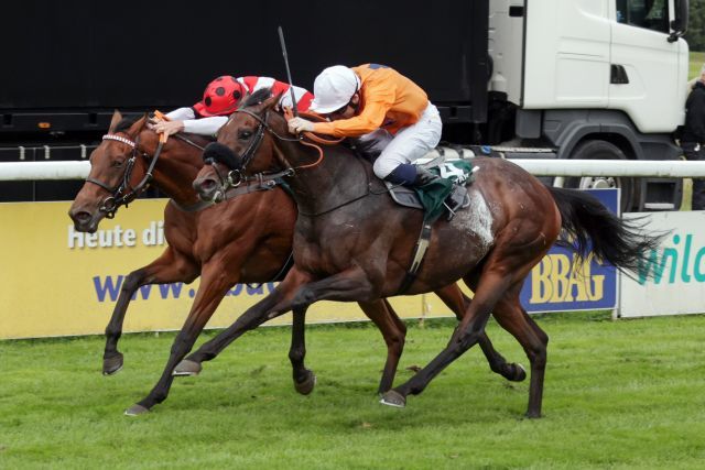 Prydwen winning the German St. Leger. www.galoppfoto.de - Stephanie Gruttmann