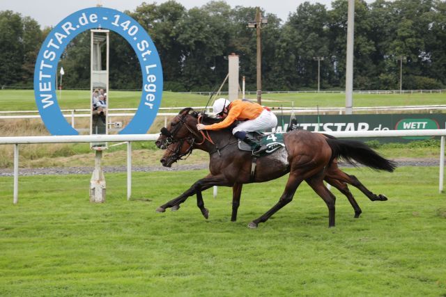 Heißumkämpftes Finish im 140. St. Leger: Mit dem letzten Galoppsprung setzt sich der englische Gast Prydwen mit Callum Shepherd noch gegen Tres Rock Women mit Michael Cadeddu (verdeckt innen) durch. ©galoppfoto - Stephanie Gruttmann