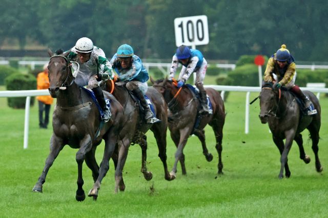 Der Red Jazz-Sohn Rabbit Red Jazz gewinnt das Derby in Bratislava. www.galoppfoto.de - Petr Guth