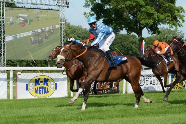 Rex of Thunder ist der große Sieger von Bratislava. Foto: Adam Lovecky/offiziell