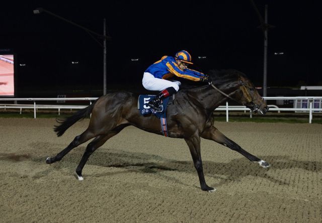 Right and True sorgt in Dundalk für den ersten Blacktype-Sieg eines Arizona-Nachkommens. Foto: courtesy by Coolmore