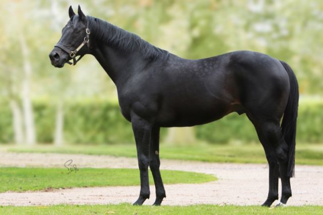 Neu in Frankreich: Rob Roy. Foto: privat