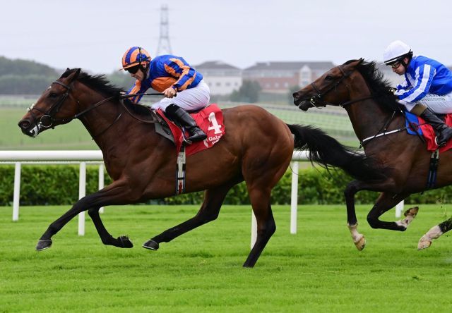 Rock of Cashel siegt in Galway. Foto: courtesy by Coolmore