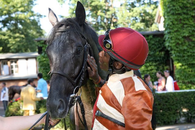 Jetzt auch auf Gruppe-Parkett erfolgreich: Rock of Romance mit Eduardo Pedroza nach dem Sieg in Hoppegarten. www.galoppfoto.de - Jörg Sorge