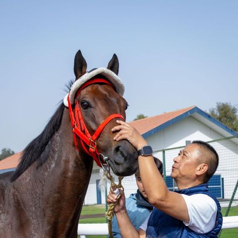 Trainer Danny Shum, begrüßt Romantic Warrior in Meydan. Foto: DRC 