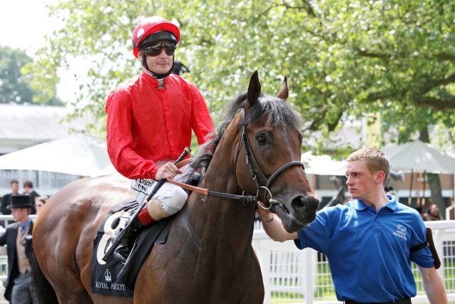 Wird Deckhengst im Cheveley Park Stud: Garswood mit Pat Smullen in Ascot 2013. www.galoppfoto.de - Frank Sorge