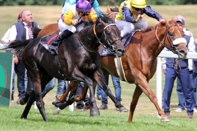 Sammarco beating Amazing Grace in the G1 Grosser Dallmayr-Preis. www.galoppfoto.de - WiebkeArt