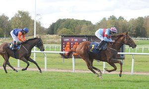 Ein weiterer klassischer Sieg für Schamyl. Foto: Svensk Galopp