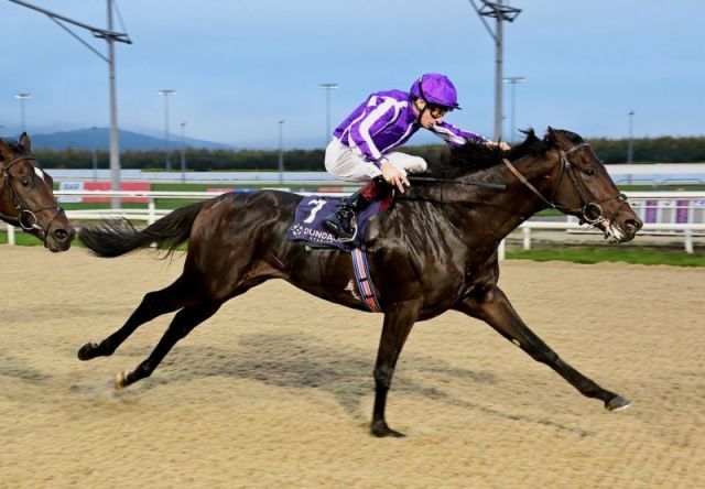 Serengeti schafft in Dundalk den ersten Sieg. Foto: courtesy by Coolmore