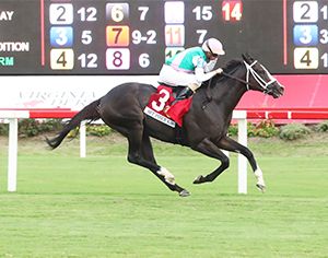 Set Piece gewinnt für Juddmonte die Arlington Million. Foto: Colonial Downs