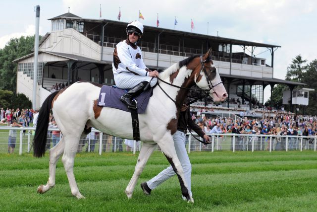 Starker Auftritt bei seinem Deutschland-Debut: Silvery Moon mit Andrasch Starke in Köln. www.galoppfoto.de - John James Clark