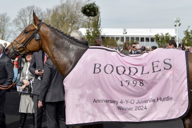 Sir Gino nach seinem Sieg im April in Aintree. www.galoppfoto.de - JJ Clark