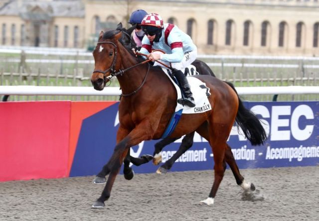 Some Skye ist eine leichte Listensiegerin in Chantilly. Foto: courtesy by Coolmore