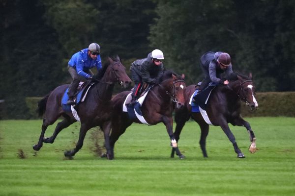 Sosie (r.) am Mittwoch in der Morgenarbeit. Foto: France Galop