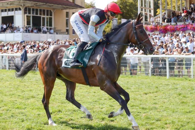 Spanish Eyes kommt bei Arqana in den Ring, www.galoppfoto.de - Sabine Brose