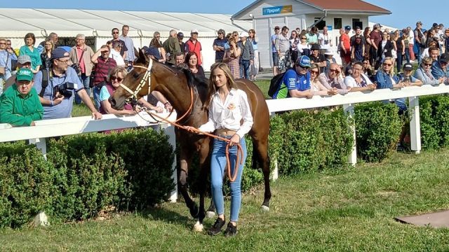 Die Red Jazz-Tochter Sparkle Shout, Siegerin im Hauptrennen in Most. Foto: Cap