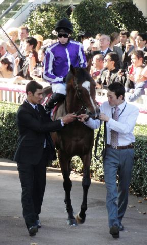 Zweifacher Coronation Cup-Sieger St Nicholas Abbey mit Joseph O'Brien Foto: Turf Aktuell