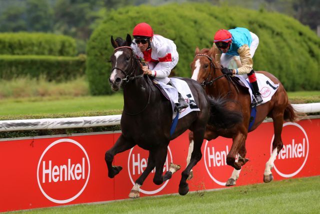 Gestüt Ittlingens Starwood mit Adrie de Vries beim erfolgreichen Debut in Düsseldorf, jetzt versucht man es auf Gr. III-Parkett. Foto: Ursula Stüwe-Schmitz