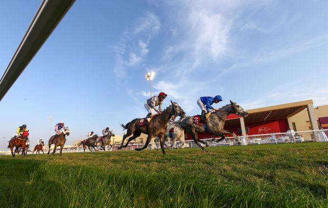 Supercooled siegt im Qatar Derby. Foto: qrev