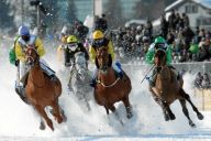 Zweiter Tag beim "White Turf Meeting" in St. Moritz Foto: swissimage.ch