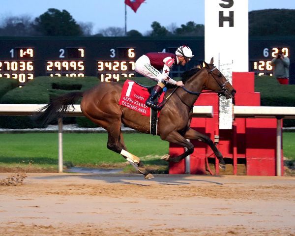 Thorpedo Anna ist erwartungsgemäß souverän. Foto: Oaklawn Park/Penelope Miller