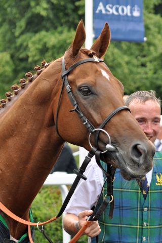 Universal in diesem Jahr in Ascot. www.galoppfoto.de - John James Clark