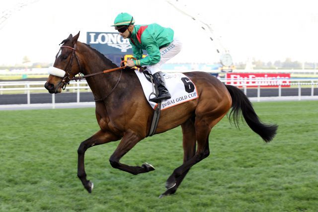 Verema mit Christophe Lemaire beim Aufgalopp in Dubai. www.galoppfoto.de - Frank Sorge