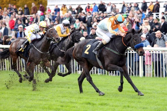 Vinnare gewinnt ihr achtes Handicap innerhalb von 13 Monaten. www.galoppfoto.de - Sabine Brose