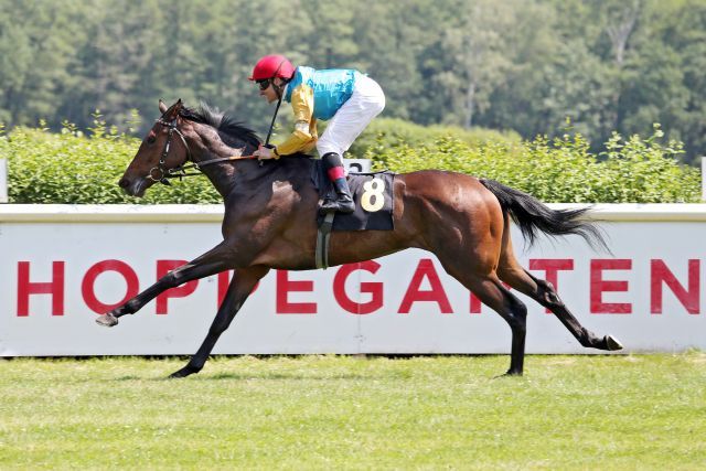 Andrasch Starke hat mit der Wahl für Wagnis richtig gelegen, die Adlerflug-Tochter gewinnt überlegen mit 5 Längen das Diana-Trial in Hoppegarten. ©galoppfoto - Sabine Brose