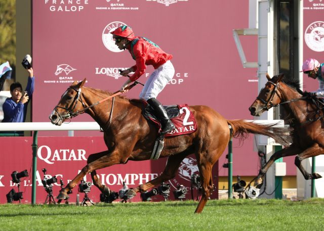 Der Sieg im 98. Prix de l'Arc de Triomphe war der größte Erfolg und zugleich der letzte Rennbahn-Auftritt von Waldgeist. Foto: Dr. Jens Fuchs