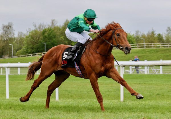 Whistlejacket ist einer der ersten Zweijährigen-Listensieger 2024. Foto: courtesy by Coolmore