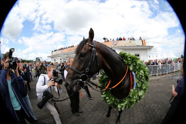 2017 stand Gestüt Röttgens Windstoß im Fokus, wer wird 2018 der Derby-Champion? Foto: Dr. Jens Fuchs