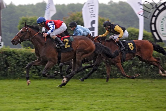 Wirbelwind gewinnt mit Wladimir Panov in Hoppegarten. www.galoppfoto.de - Sabine Brose