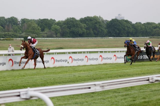 Marschiert weiter in Richtung Derby: Wonderful Moon (Sea The Moon) ist mit Andrasch Starke auch in den Cologne Classic überlegen. www.koeln-galopp.de - Klaus-Jörg Tuchel