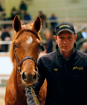 Top-Seller am Donnerstag bei der Fohlen-Auktion von Tattersalls