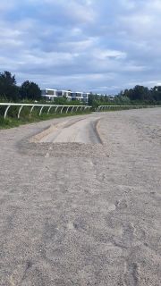 Häusle- oder Sandkastenbauer ....: Auf der Neusser Galopprennbahn waren Sanddiebe unterwegs! ©Galoppclub Neuss Niederrhein